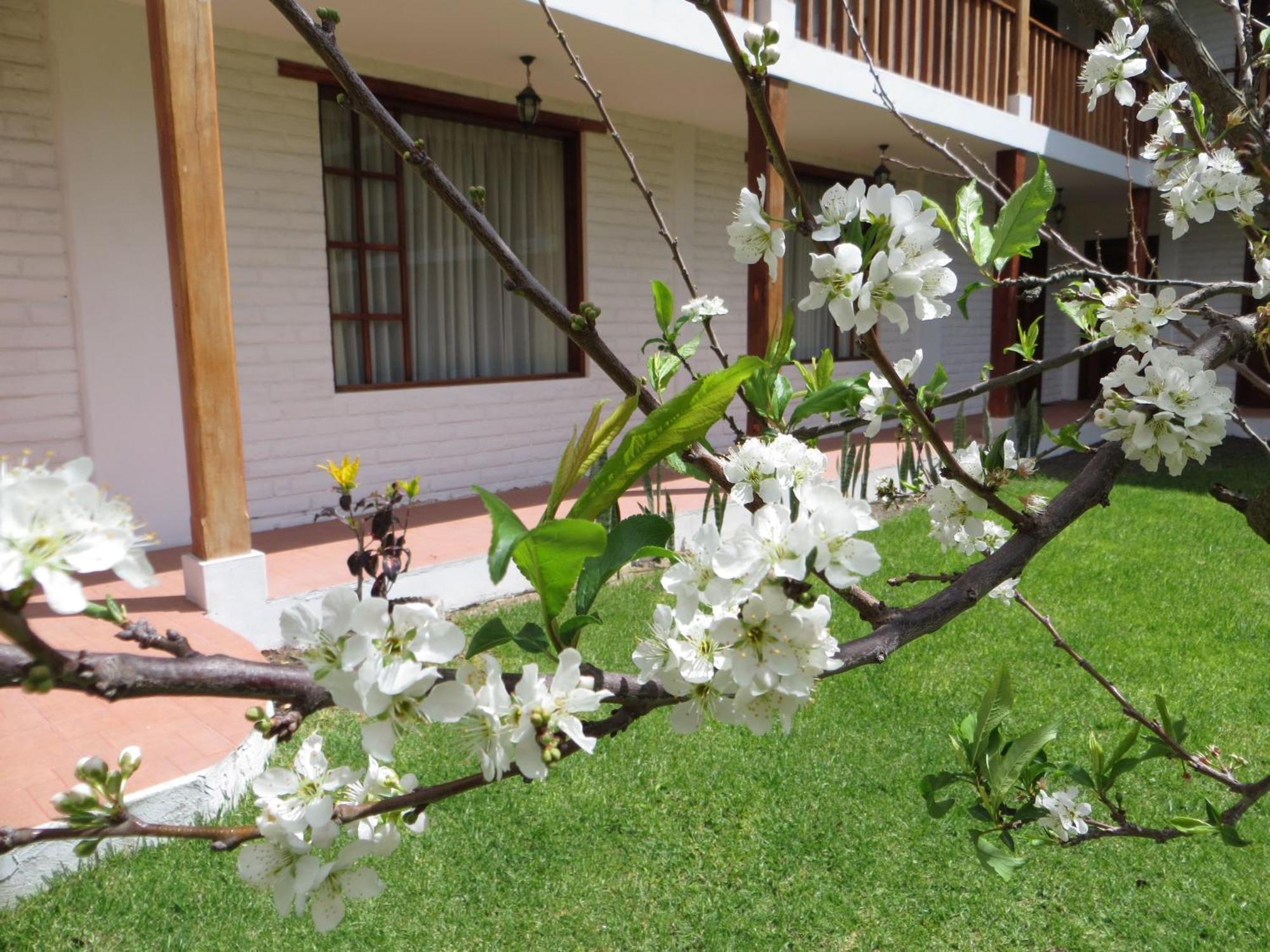 Отель La Quinta San Andres Ибарра Экстерьер фото